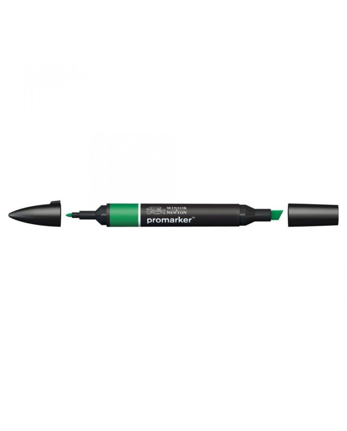 Le Libr'air - Feutre Promarker Vert Luxuriant G756 - Winsor&Newton - Tunisie
