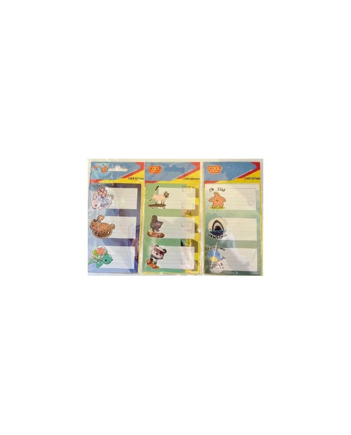 Paquet de 12 Etiquettes Scolaires Fantaisie Cool School