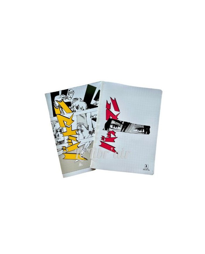 Cahier Brochure 21x29,7 - 300P 70G PP Seyes SELECTA