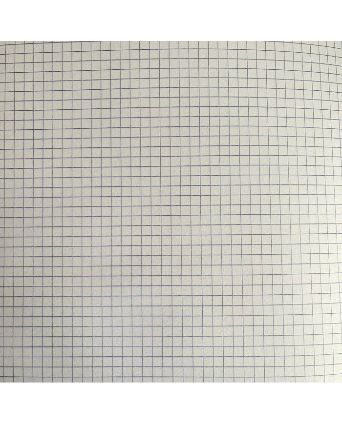 Cahier Piqure 21*29.7 - 140P -5/5- Petit carreaux SELECTA