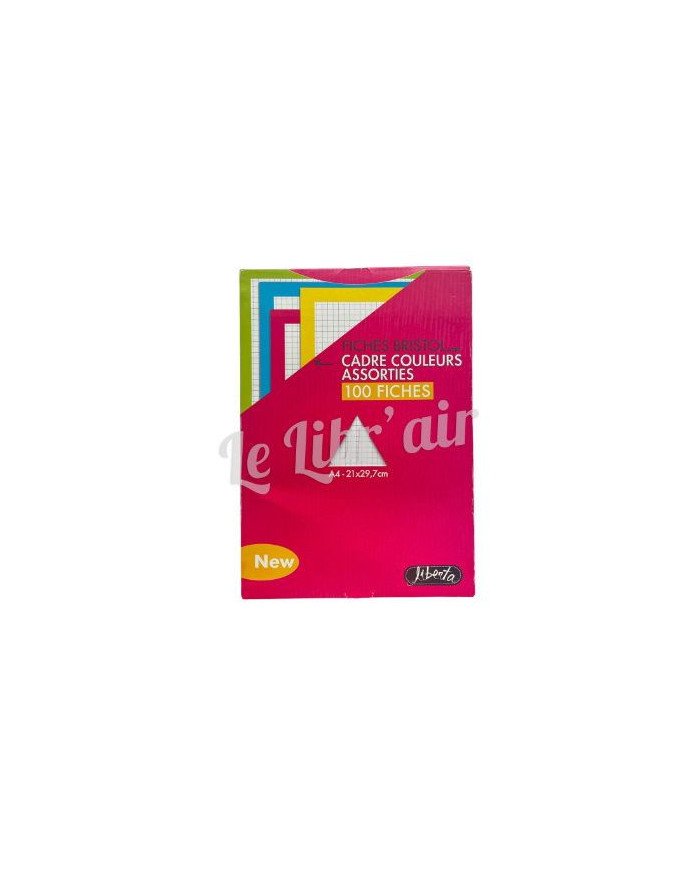 Paquet 100 Fiches Bristol GM Contour Coloré Liberta
