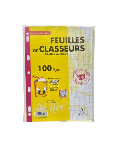 Recharge Classeur Jaune 21*29.7 - 80G - Seyes 100P Selecta Recharge Classeur Jaune 21*29.7 - 80G - Seyes 100P Selecta