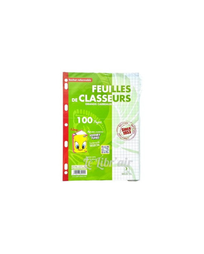 Recharge Classeur Vert 21*29.7 - 80G - Seyes 100P Selecta