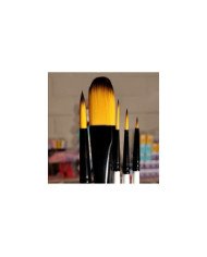 Etui 5 Pinceaux Pour Usages Multiples Daler & Rowney