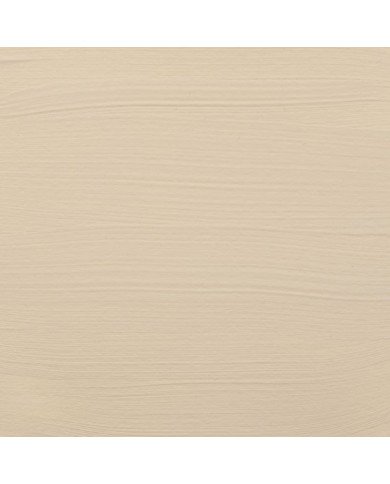 Standard Series Acrylique Pot 1000 ml Buff Titane Clair 289 Amsterdam