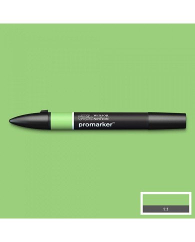 Le Libr'air - Feutre Promarker Pomme G338 - Winsor&Newton - Tunisie