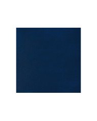 Acrylique Liquitex 118ml Bleu primaire 420