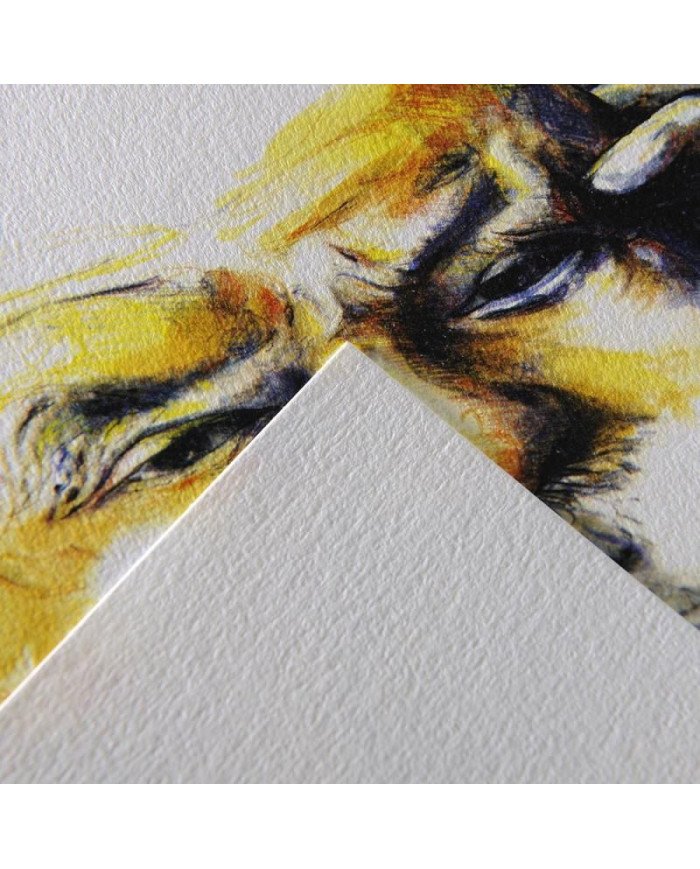 Le Libr'air - CANSON "C" à grain A5 224 g/m - Tunisie