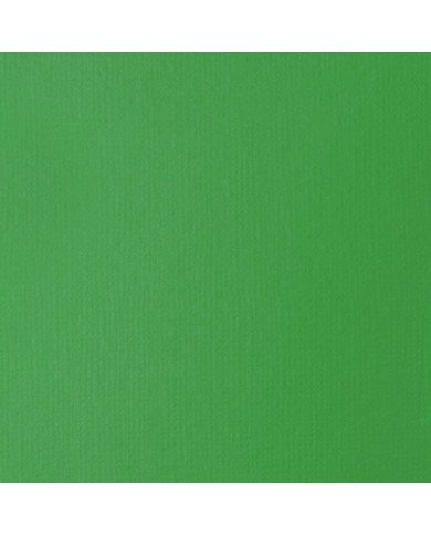 Le Libr'air - Liquitex Basics Acrylique Vert Clair Permanent 118ML - Tunisie Le Libr'air - Liquitex Basics Acrylique Vert Clair Permanent 118ML - Tunisie