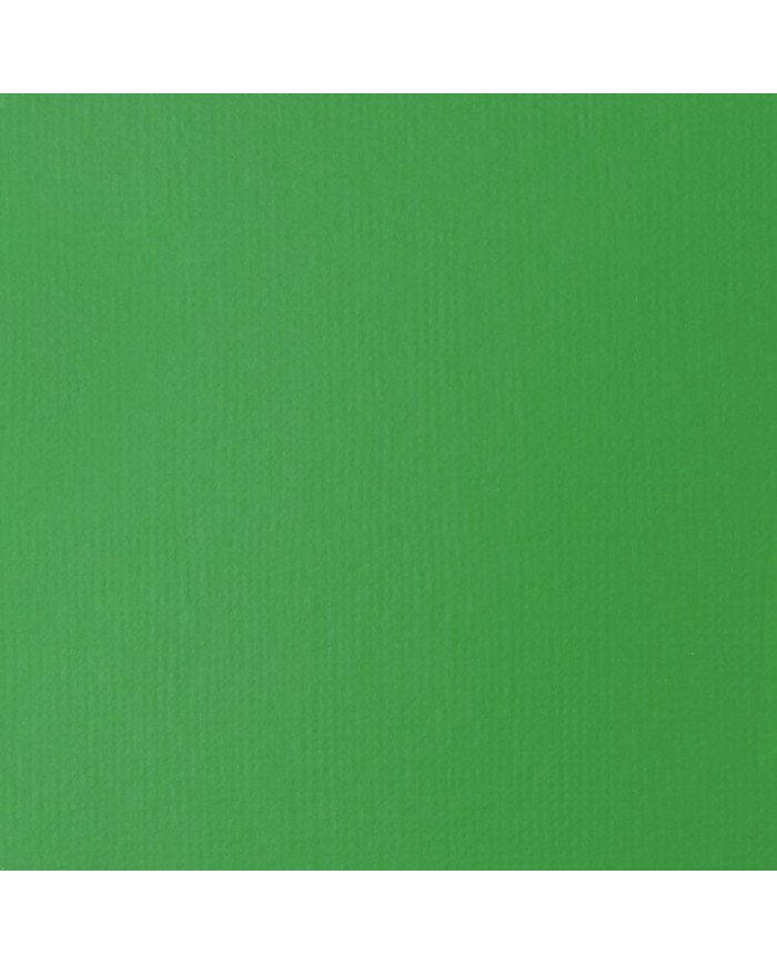 Le Libr'air - Liquitex Basics Acrylique Vert Clair Permanent 118ML - Tunisie