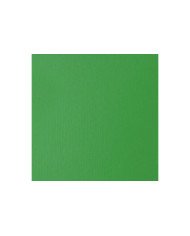 Le Libr'air - Liquitex Basics Acrylique Vert Clair Permanent 118ML - Tunisie