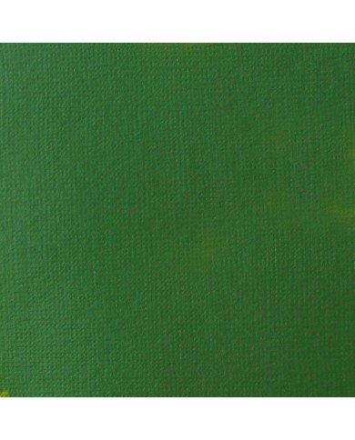 Le Libr'air - Liquitex Basics Acrylique Vert de Hooker Permanent 224 - 118ML - Tunisie Le Libr'air - Liquitex Basics Acrylique Vert de Hooker Permanent 224 - 118ML - Tunisie