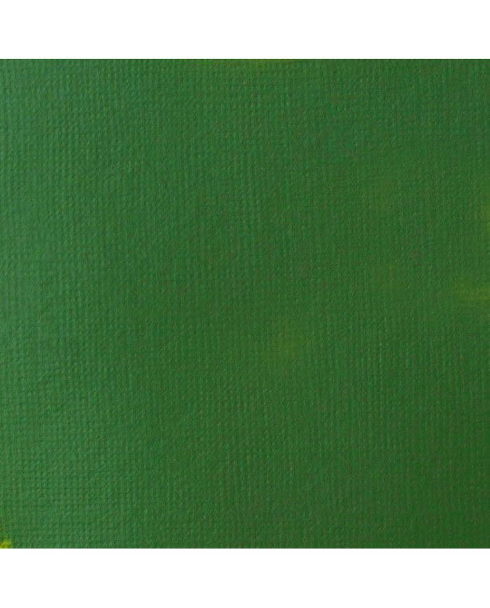 Le Libr'air - Liquitex Basics Acrylique Vert de Hooker Permanent 224 - 118ML - Tunisie