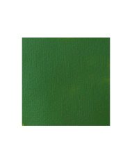 Le Libr'air - Liquitex Basics Acrylique Vert de Hooker Permanent 224 - 118ML - Tunisie