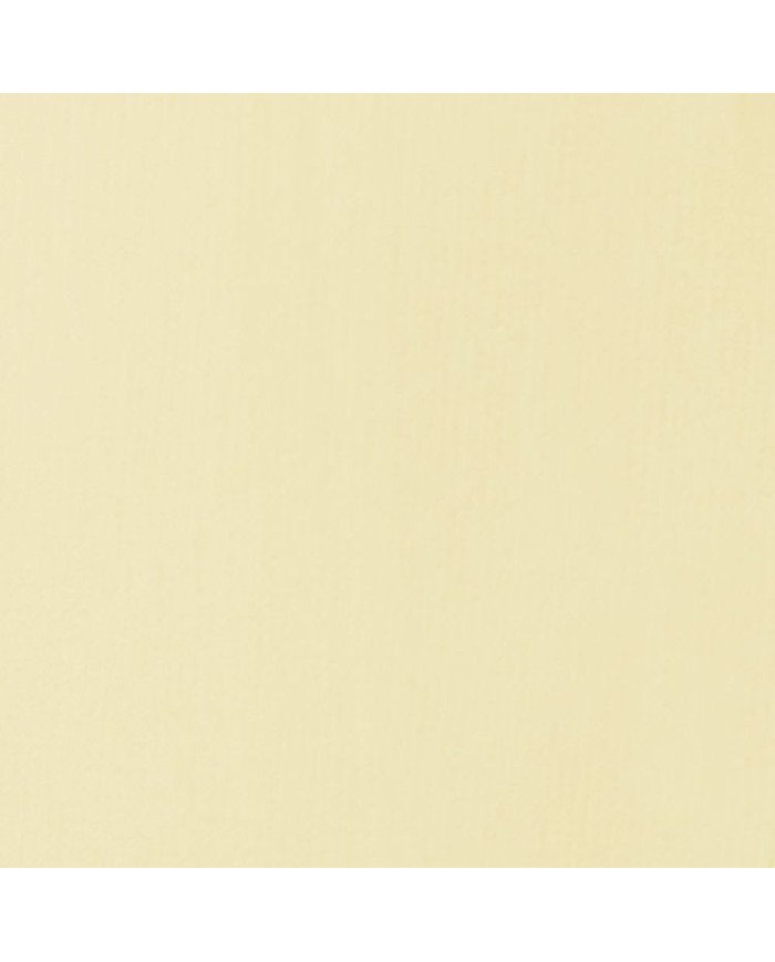 Le Libr'air - Liquitex Basics Acrylique Parchemin 436 - 118ML - Tunisie