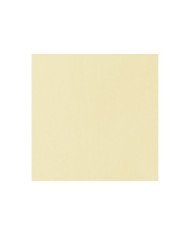 Le Libr'air - Liquitex Basics Acrylique Parchemin 436 - 118ML - Tunisie