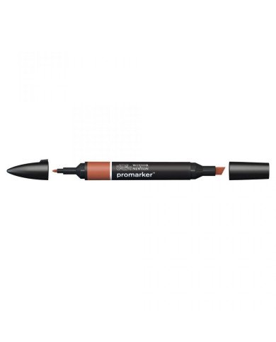 Le Libr'air - Feutre Promarker Ombre Calcinée R646 - Winsor&Newton - Tunisie