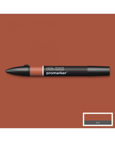 Le Libr'air - Feutre Promarker Ombre Calcinée R646 - Winsor&Newton - Tunisie