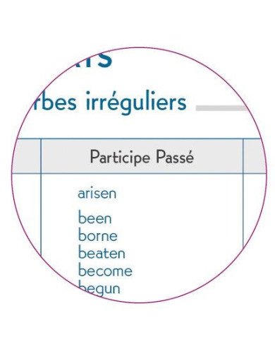 Agenda journalier - 12,5 x 17,5 cm EXACOMPTA août 2022 à juillet 2023