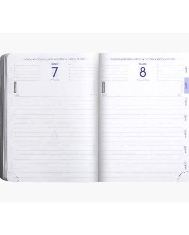 Agenda EXACOMPTA Samouraï 12 X 17 CM Journalier Août 2023 à Juillet 2024