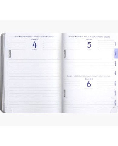 Agenda EXACOMPTA Samouraï 12 X 17 CM Journalier Août 2023 à Juillet 2024