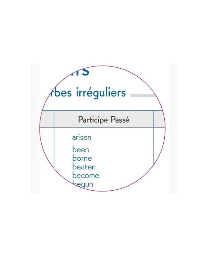 Agenda EXACOMPTA Samouraï 12 X 17 CM Journalier Août 2023 à Juillet 2024 Agenda EXACOMPTA Samouraï 12 X 17 CM Journalier Août 2023 à Juillet 2024