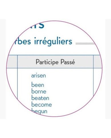 Agenda EXACOMPTA Samouraï 12 X 17 CM Journalier Août 2023 à Juillet 2024