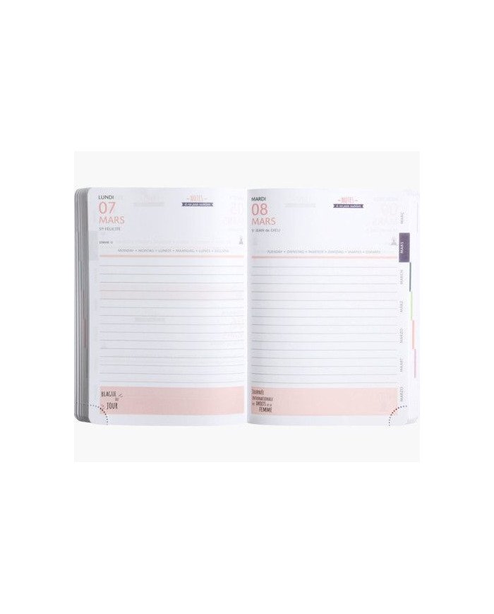 Agenda EXACOMPTA Color Ariel 12 X 17 CM Journalier Août 2023 à Juillet 2024