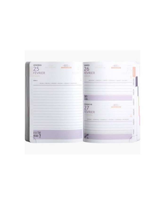 Agenda EXACOMPTA Color Ariel 12 X 17 CM Journalier Août 2023 à Juillet 2024