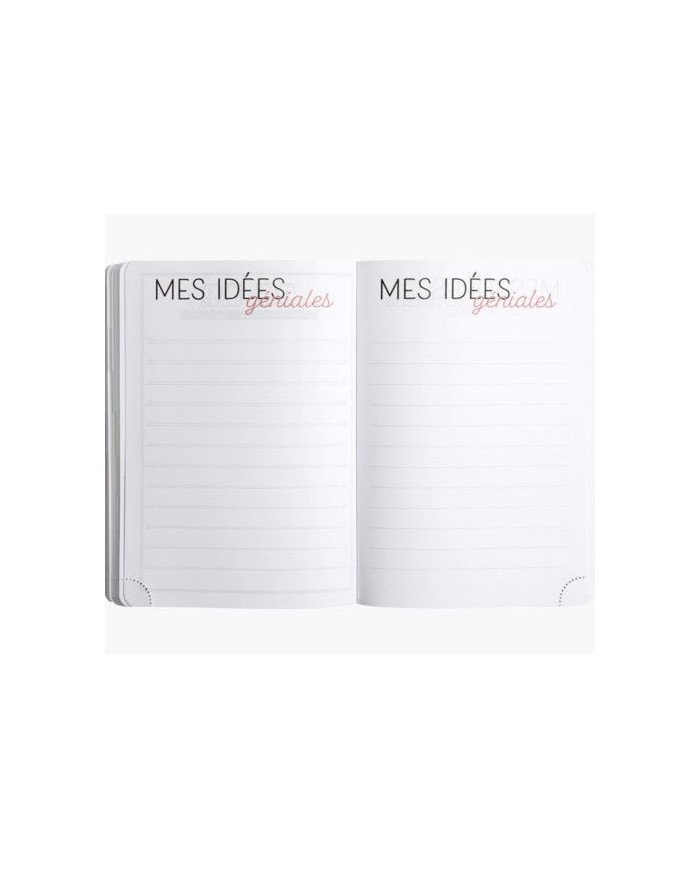 Agenda EXACOMPTA Color Ariel 12 X 17 CM Journalier Août 2023 à Juillet 2024