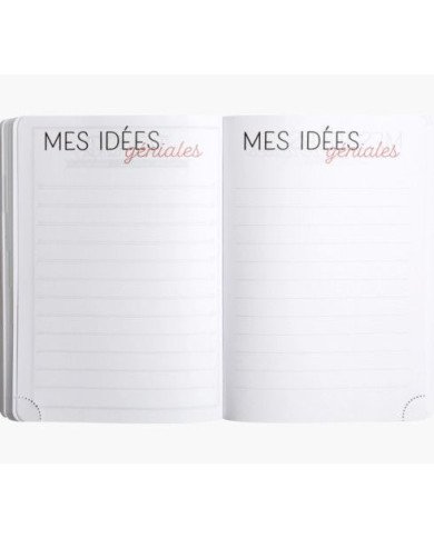Agenda EXACOMPTA Color Ariel 12 X 17 CM Journalier Août 2023 à Juillet 2024 Agenda EXACOMPTA Color Ariel 12 X 17 CM Journalier Août 2023 à Juillet 2024