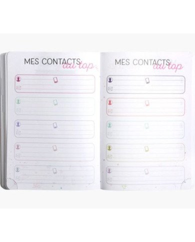 Agenda EXACOMPTA Color Ariel 12 X 17 CM Journalier Août 2023 à Juillet 2024 Agenda EXACOMPTA Color Ariel 12 X 17 CM Journalier Août 2023 à Juillet 2024