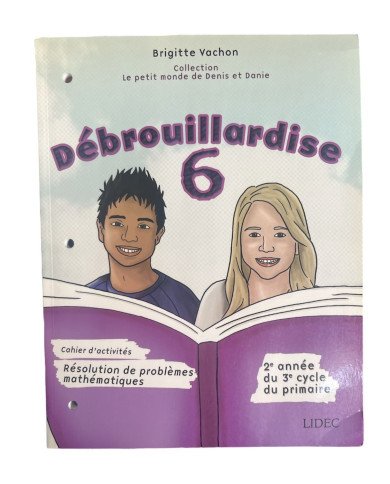 Débrouillardise 6 : résolution de problèmes mathématiques : 2e année du 3e cycle du primaire : cahier d'activités Débrouillardise 6 : résolution de problèmes mathématiques : 2e année du 3e cycle du primaire : cahier d'activités