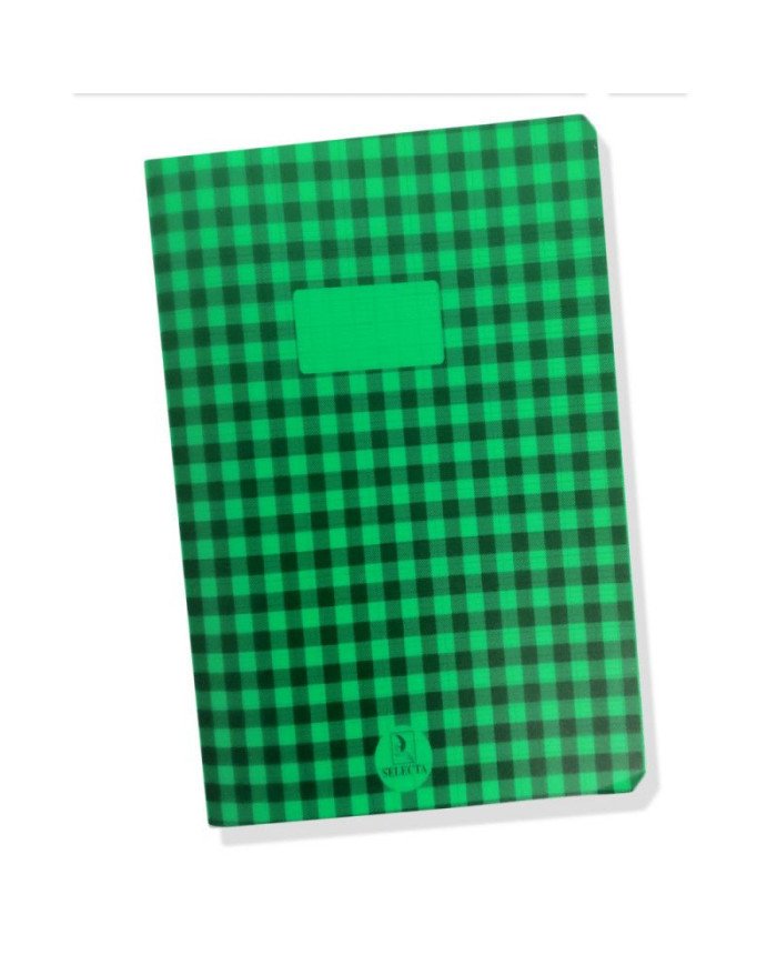Cahier Piqure 17*22 PP - 48P Carreaux Vert SELECTA