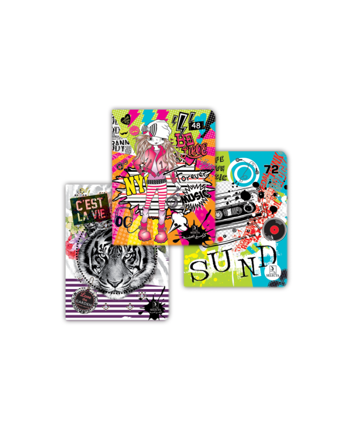 Cahier N°12 piqure 17x22 Fenicia SELECTA