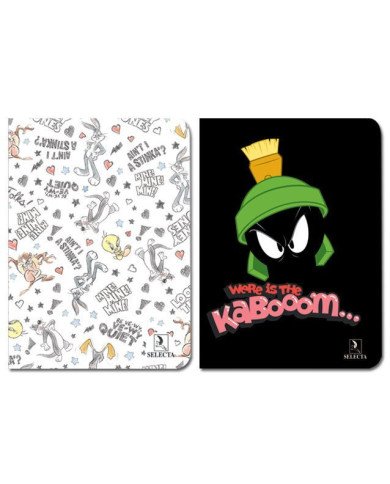 Cahier Brochure 17*22 - 288P - Seyes 90g Looney Tunes