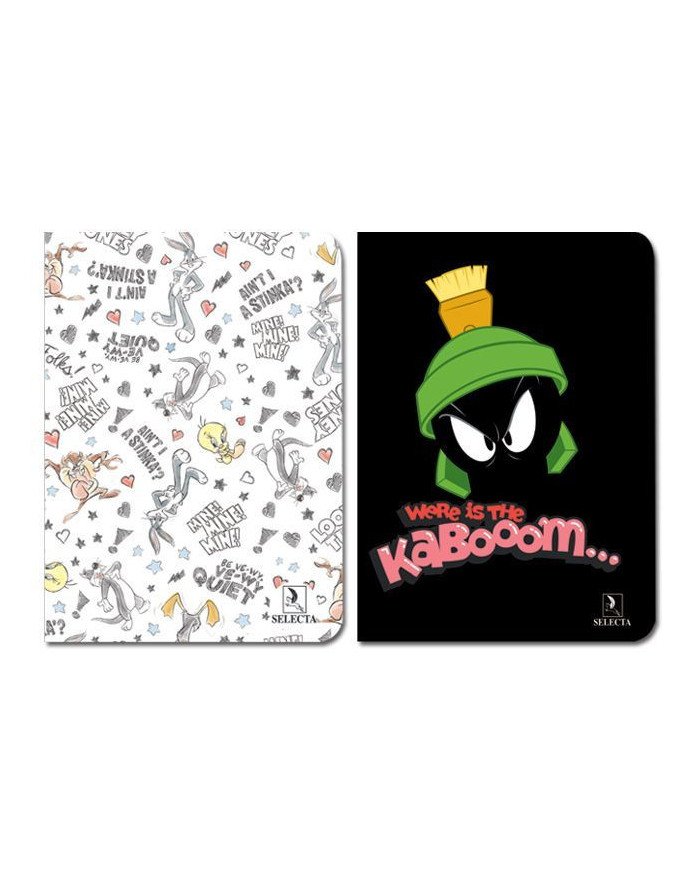 Cahier Brochure 17*22 - 288P - Seyes 90g Looney Tunes