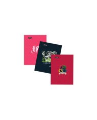 Cahier Brochure PP 17*22 -200P - 70G - Seyes Harry Potter
