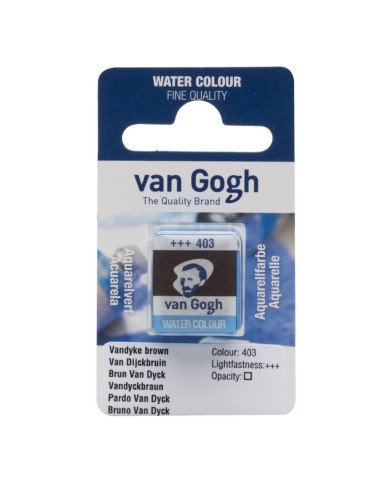 Peinture aquarelle Godet Brun Van Dyck 403 VAN GOGH