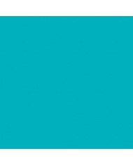 Marqueur Peinture Acrylique 1.2MM Bleu Caraibes -418- Pébéo