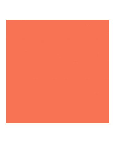 Marqueur Peinture Acrylique 1.2MM Orange -05- Pébéo