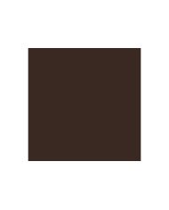 LIQUITEX Marqueur Acrylique 432 Terre d'ombre brûlée 2-4mm