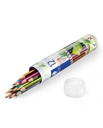 12 Crayons de couleurs STAEDTLER Boite métallique 12 Crayons de couleurs STAEDTLER Boite métallique