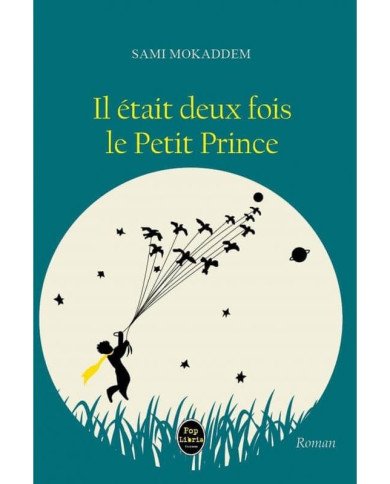 Il Etait Deux Fois Le Petit Prince Il Etait Deux Fois Le Petit Prince