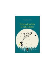 Il Etait Deux Fois Le Petit Prince